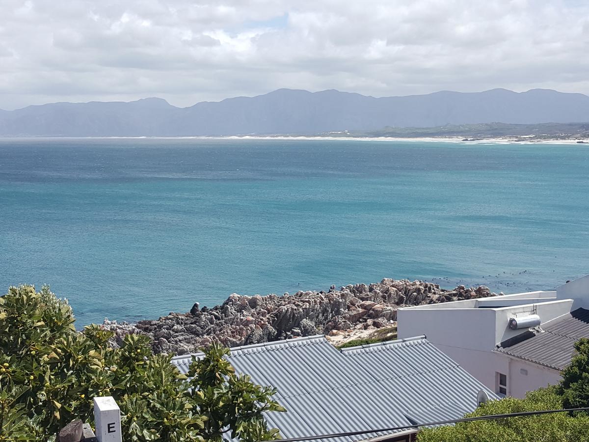 Amazing Grace B&B Gansbaai Bagian luar foto