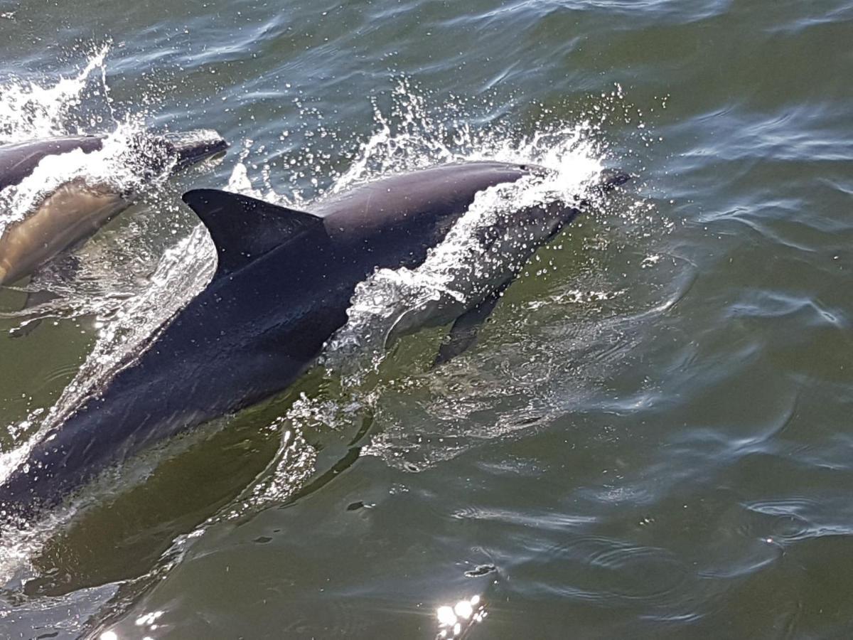 Amazing Grace B&B Gansbaai Bagian luar foto